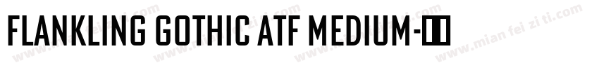 Flankling gothic ATF MEDIUM字体转换